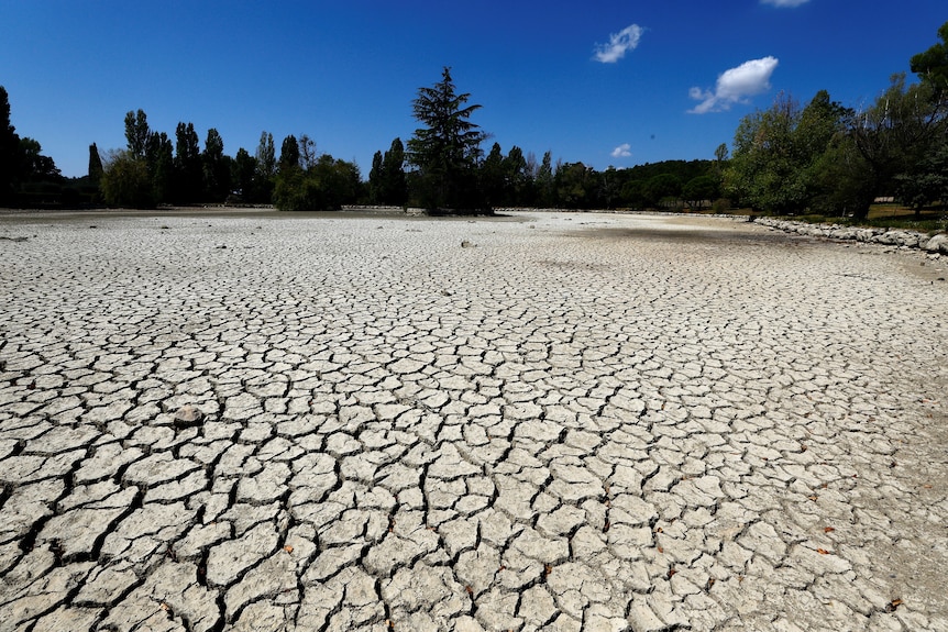 A dried up pond in Tourtour, France