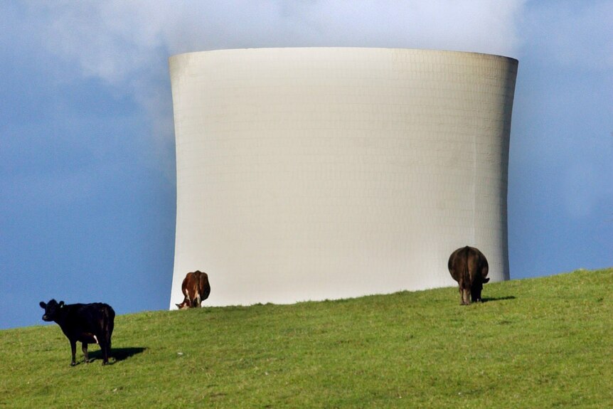 The cooling tower of the Yallourn North power plant in Western Gippsland, Victoria.