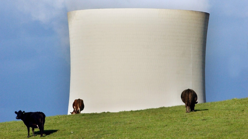 The cooling tower of the Yallourn North power plant in Western Gippsland, Victoria.