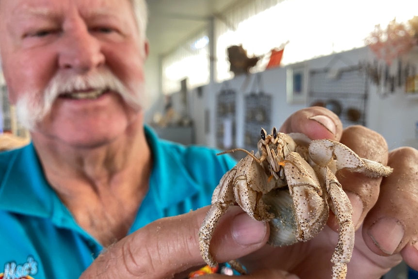 Merv Cooper holds a large hermit crab to the camera 