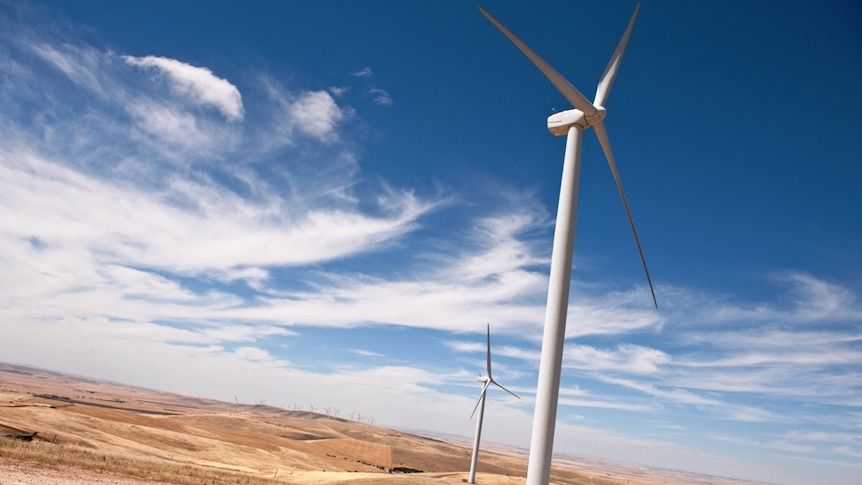 The Snowtown Wind Farm will be South Australia's largest when completed