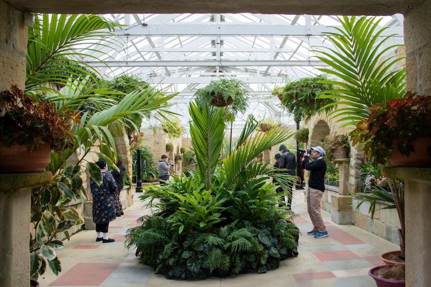 Members of a disability photography club taking stills in a greenhouse 