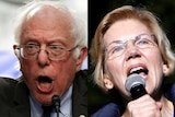 A composite image showing Senators Bernie Sanders and Elizabeth Warren, both speaking into microphones.