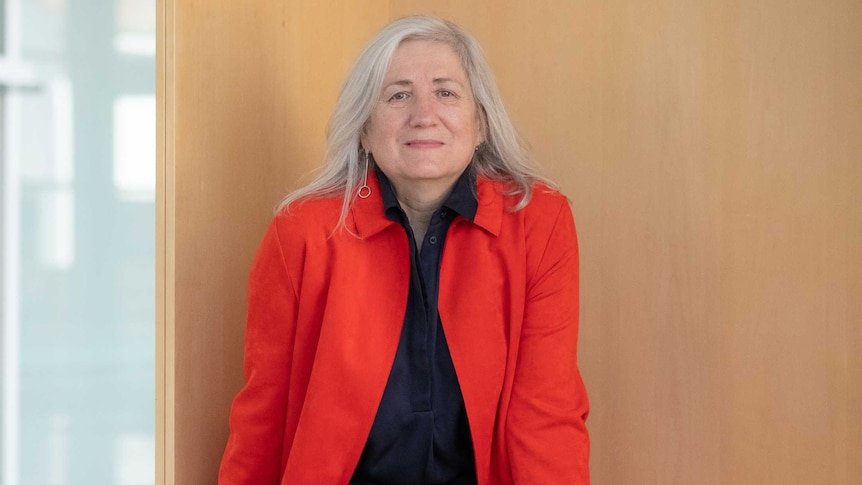 A photo of the UNE Vice Chancellor Brigid Heywood, sitting on a desk.