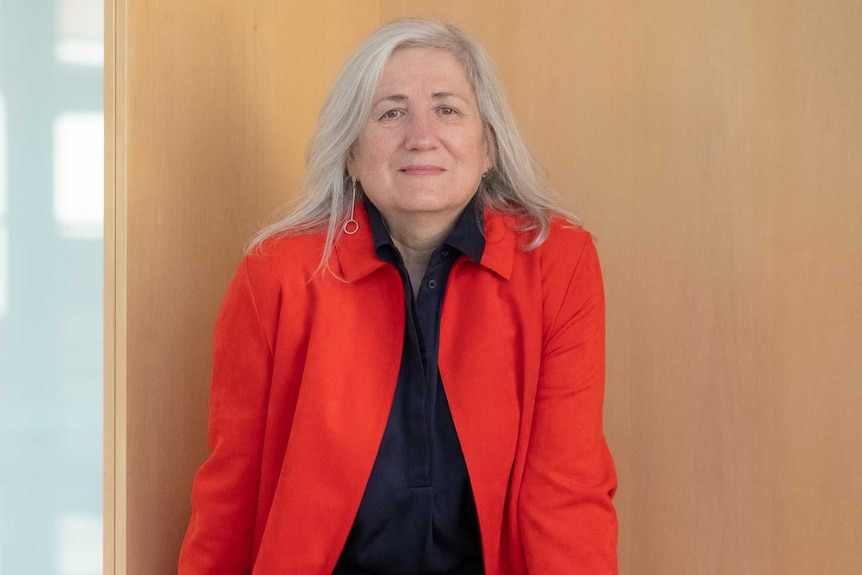 A photo of the UNE Vice Chancellor Brigid Heywood, sitting on a desk.