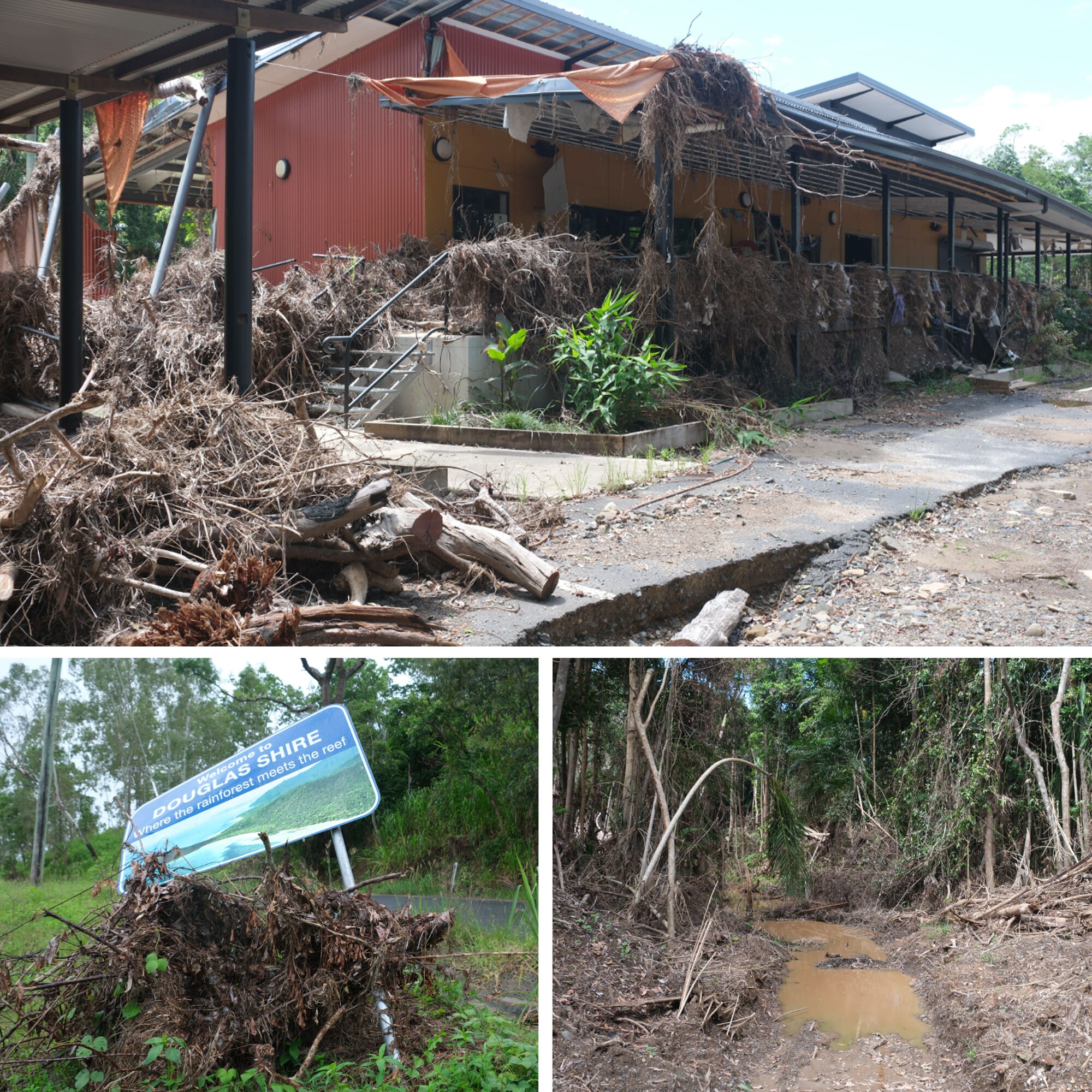 A composite image of debris, a roadside sign, and vegetation.