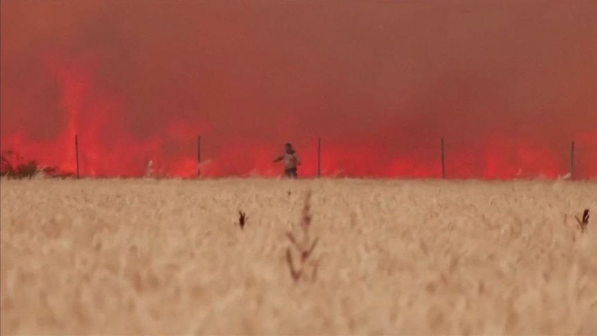 Odtwórz wideo.  Czas trwania: 1 minuta 6 sekund