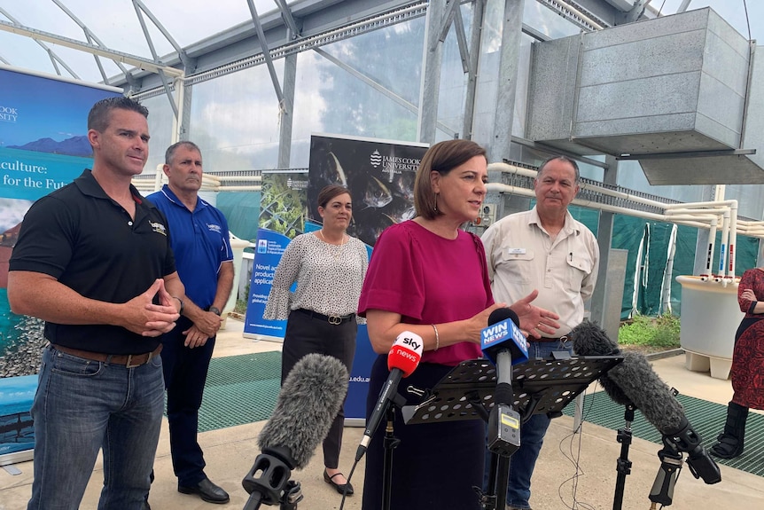 Ms Frecklington with Mr Doyle at a press conference in Townsville this morning.