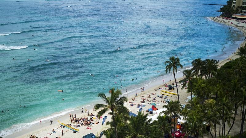 An aerial shot of people on the beach