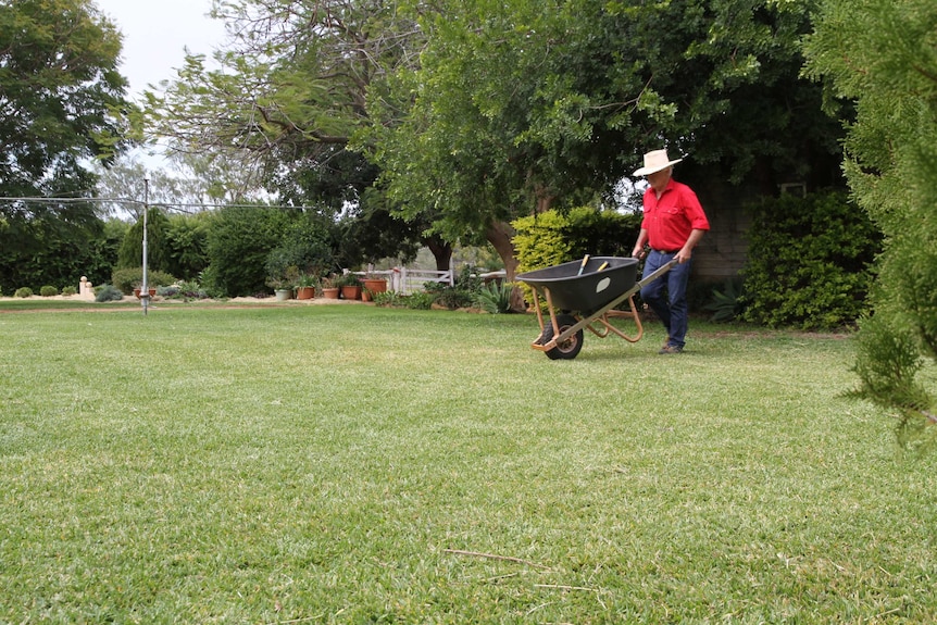 David Hardie works in the garden