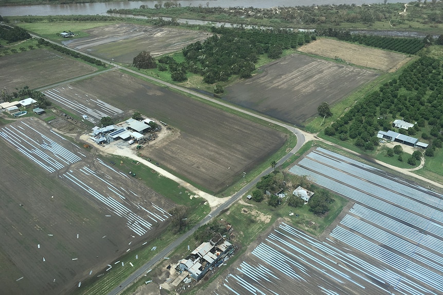 Aerials of Carl Walker's capsicum farm, just north of Bowen.