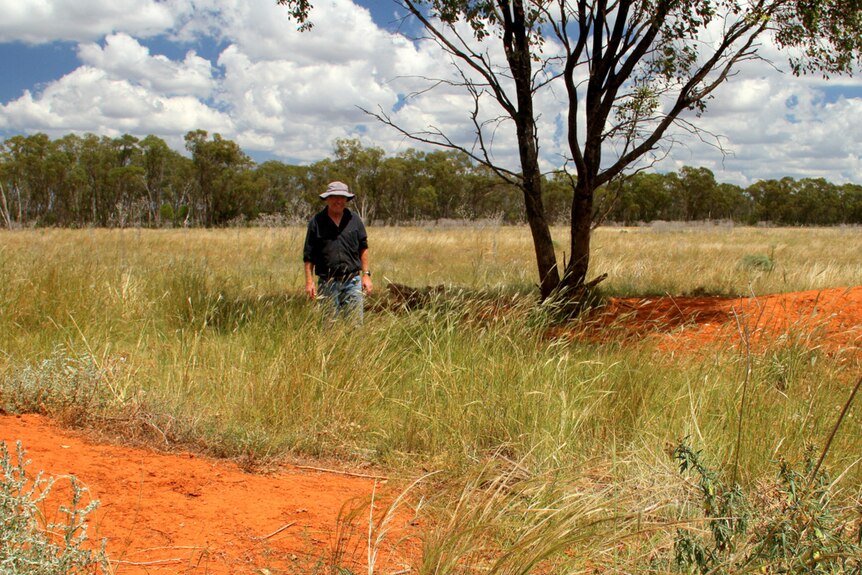 A man in a black work shirt, jeans and a hat standing in a grassed paddock, with patches of red dirt.