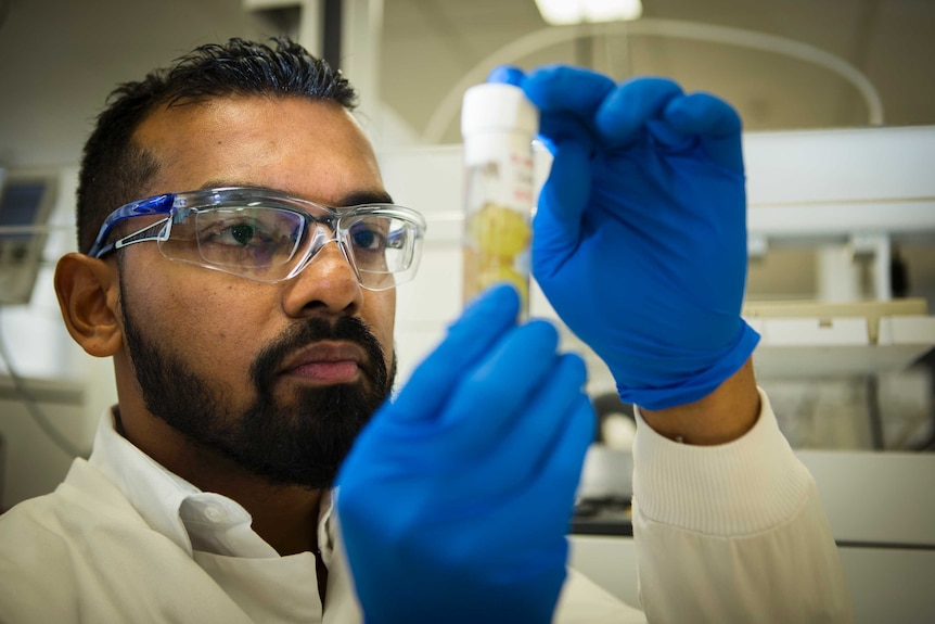 ANU reseacher Faisal Younus examines a fruit fly in his lab.