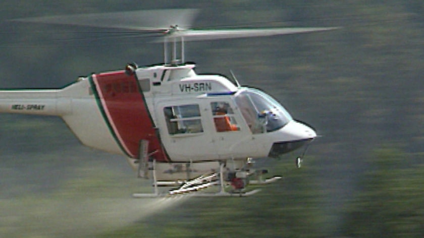 A helicopter aerial spraying in Tasmania.