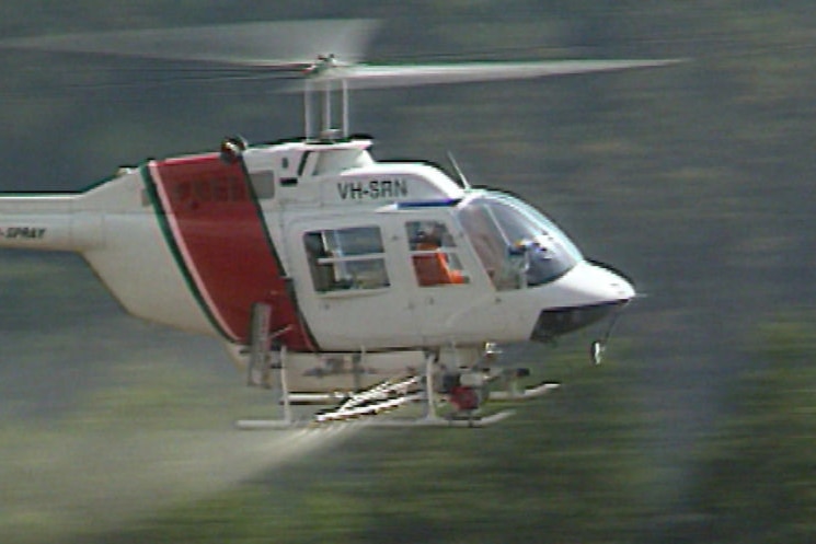 A helicopter aerial spraying in Tasmania circa 1994