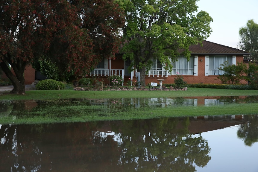 Agua inundando un césped frente a una casa de ladrillos