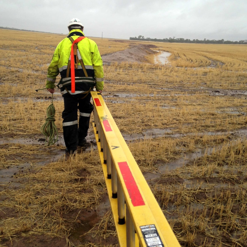 A Western Power worker drags a ladder through a muddy field wearing protective clothing and a helmet and carrying rope.