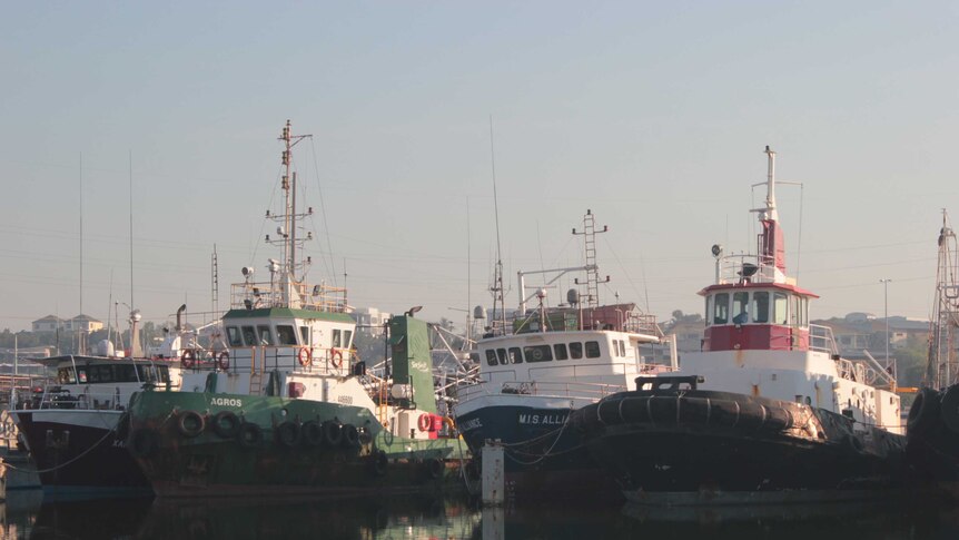 Large commercial fishing vessels in Darwin Harbour.