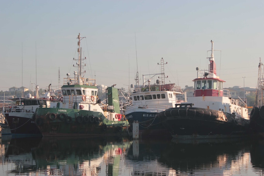 Large commercial fishing vessels in Darwin Harbour.