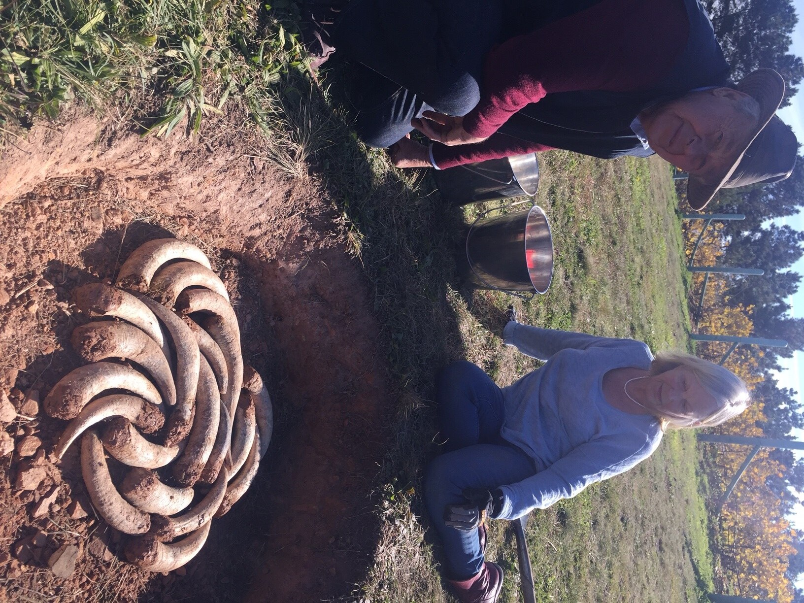 Biodynamic winemaking brings together cosmic calendars and cow horns