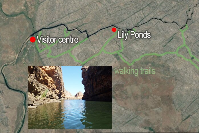 A map of the Nitmiluk Gorge area showing Lily Ponds.