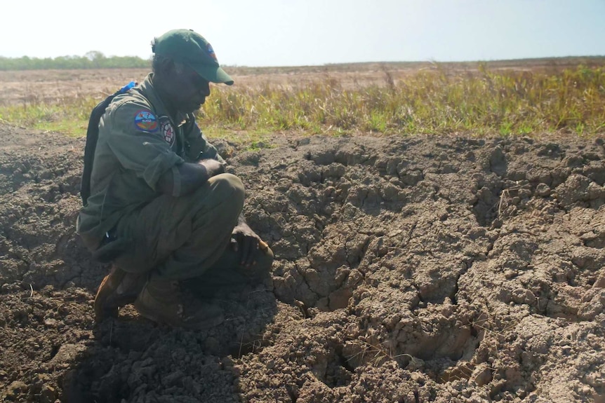 Bawinanga Ranger Greg Wilson is looking at damage to floodplains, and is crouching down in the mud.