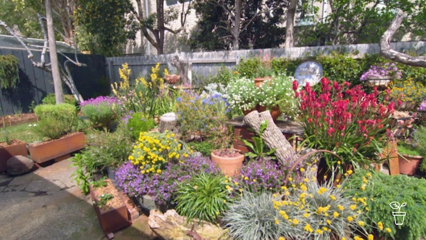 Garden filled with colourful pot plants