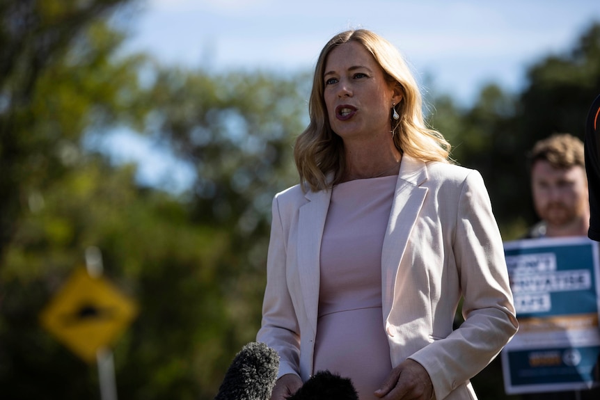 A blonde lady in a pink dress and blazer speaks, behind her stands a man with a placard