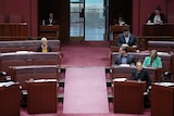 Fatima Payman sits on the crossbench in the Senate