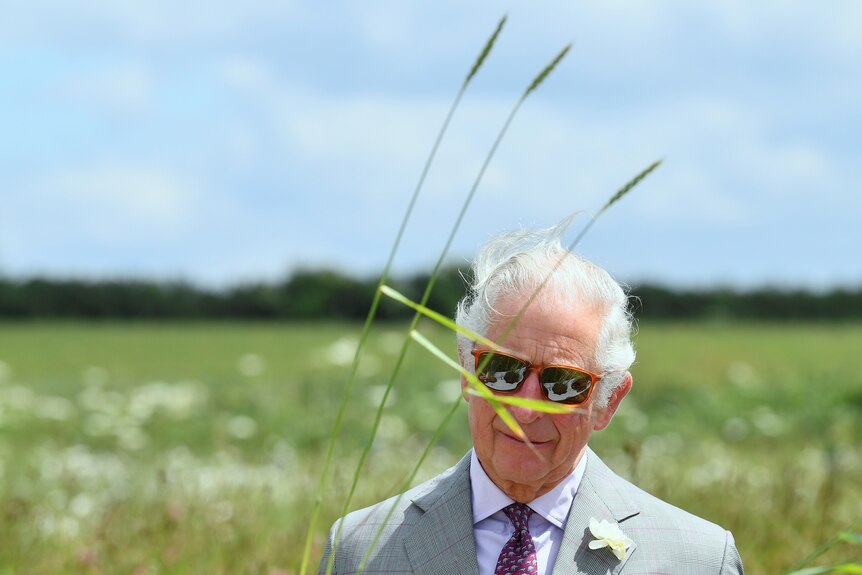 Prince Charles in sunglasses standing in a field 