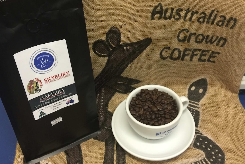 Skybury coffee roasted by Art of Espresso