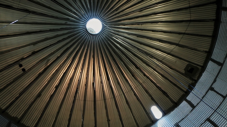Looking up from the bottom of a grain silo.