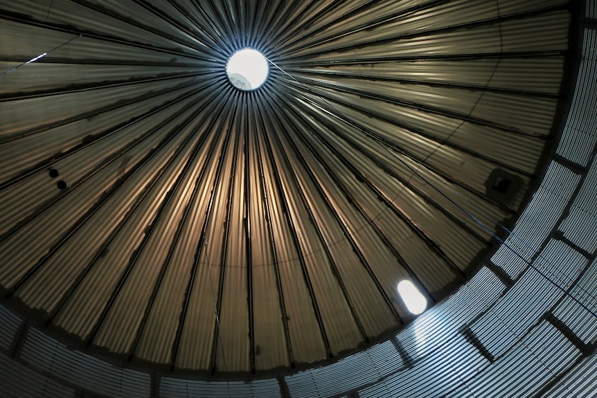 The inner roof of a new grains silo in the Ord River Irrigation Area