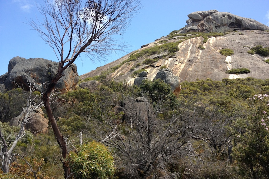 A pyramid-shaped rocky peak with vegetation at its base.