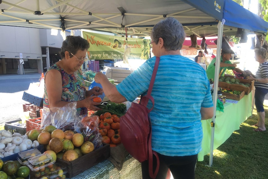 Trish Gabbana at her stall at the Mary Valley Harvest Co-operative market.