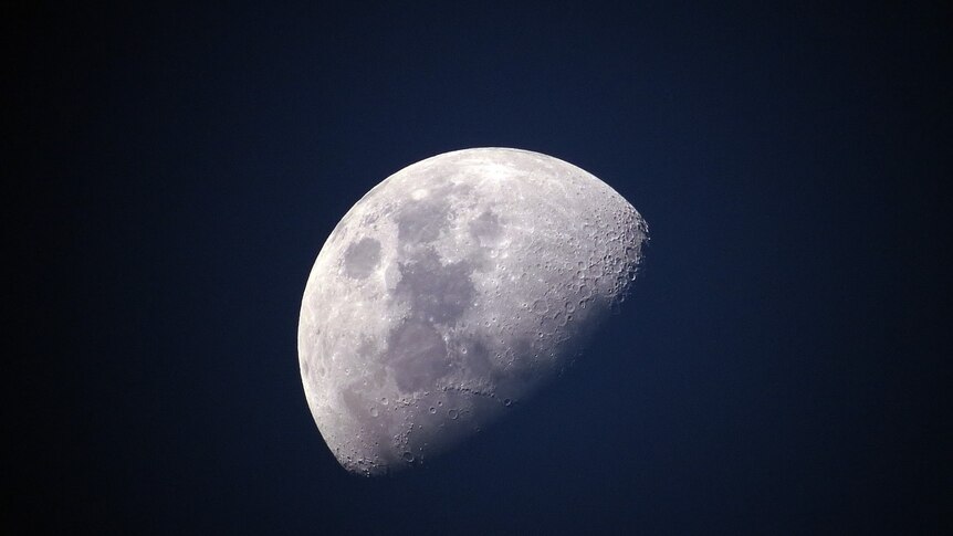 Image of half moon