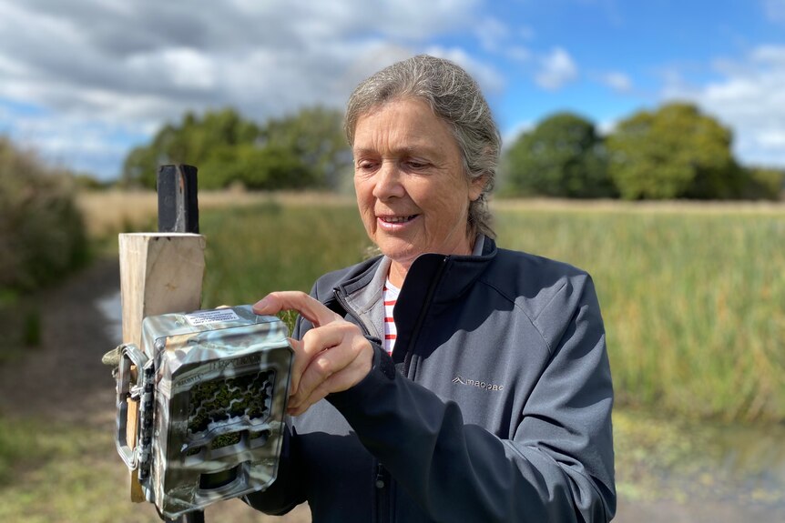 A woman holds a box next to a pasture