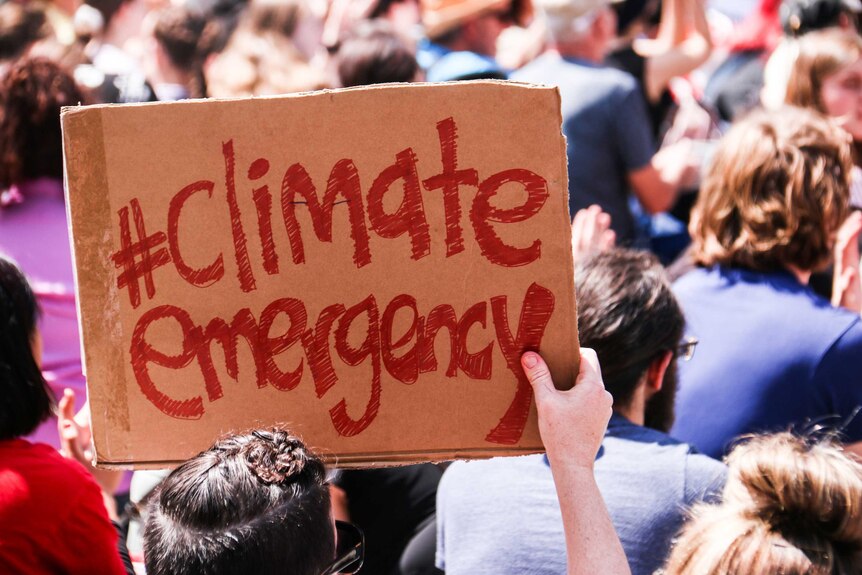 A protester holds up a hand drawn sign that says hashtag climate emergency.