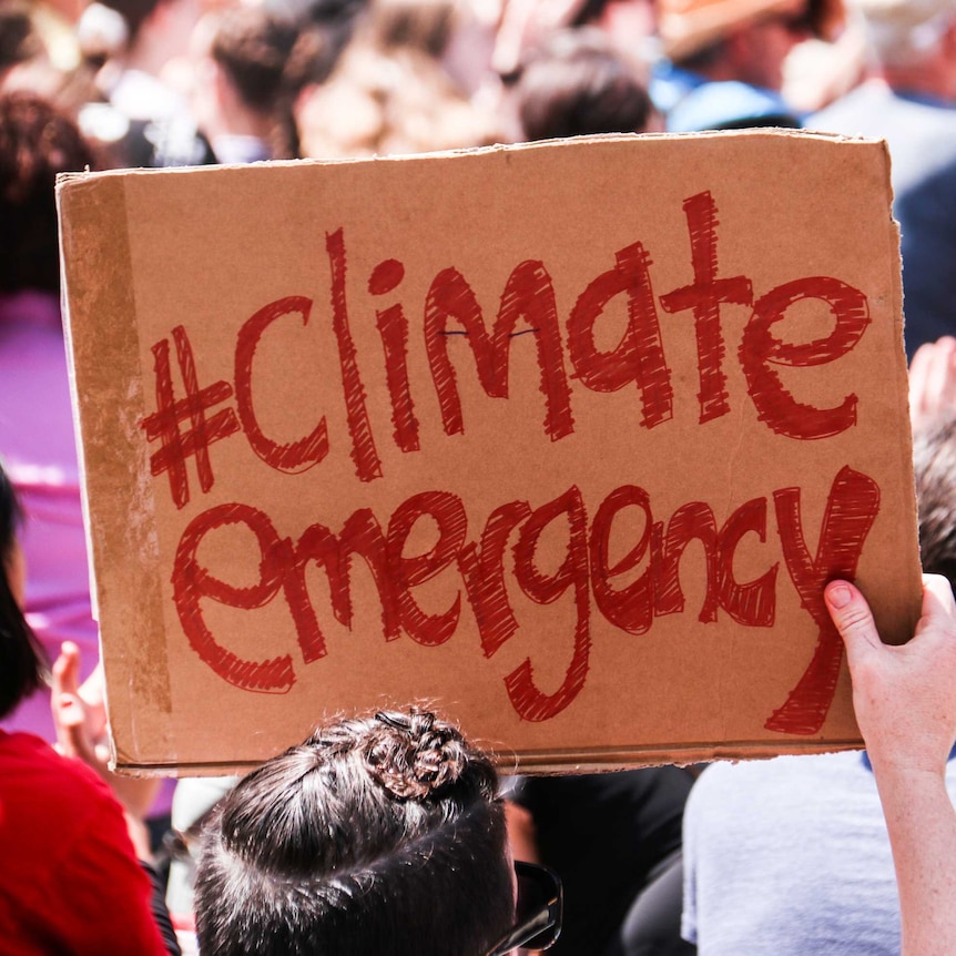 A protester holds up a hand drawn sign that says hashtag climate emergency.