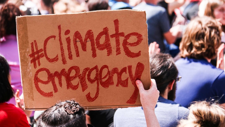 A protester holds up a hand drawn sign that says hashtag climate emergency.