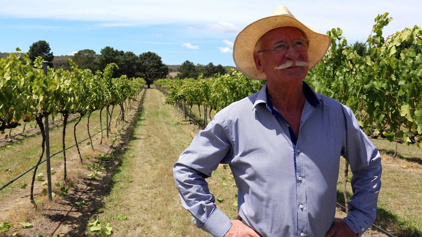 Winemaker Ken Helm