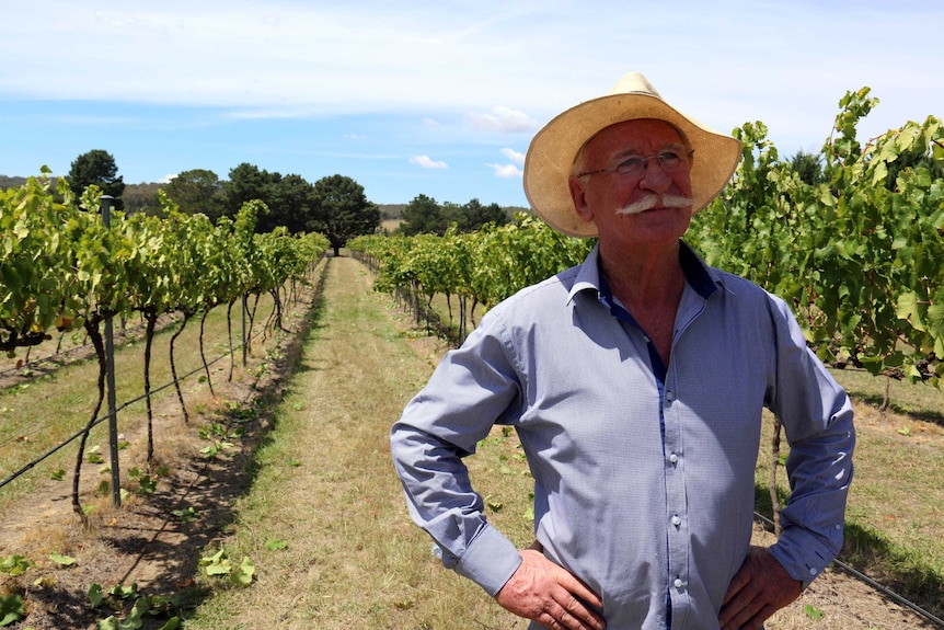 Winemaker Ken Helm