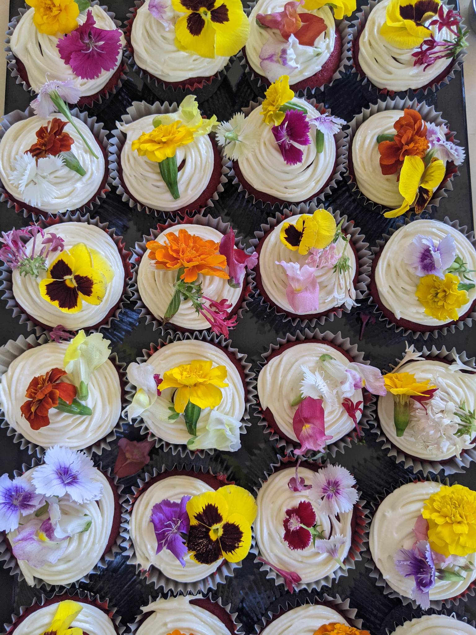 An aerial view of a row of cupcakes with white icing, and brightly coloured edible flowers on top