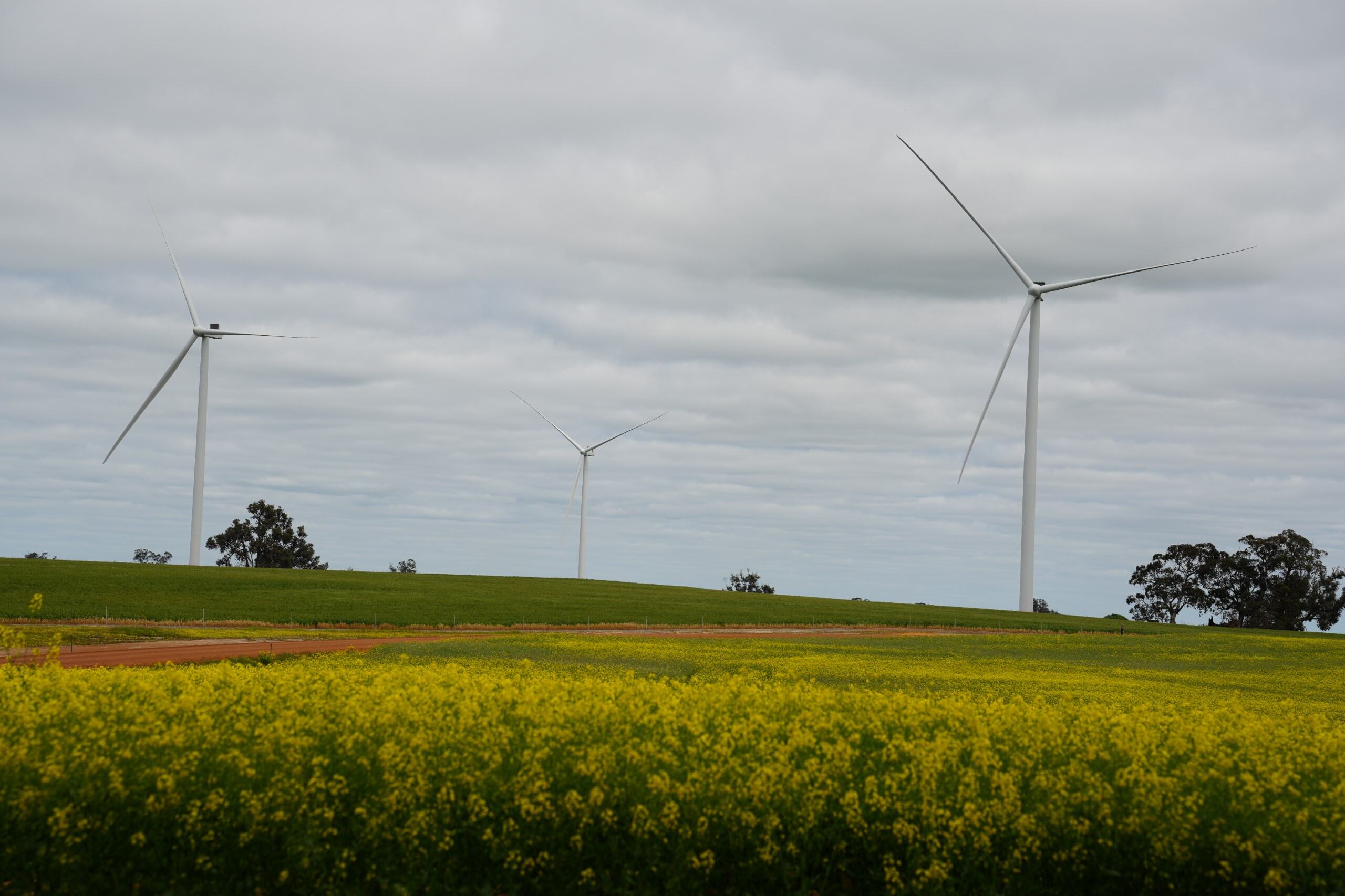 Turbinas eólicas en un campo.