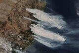 satellite image of large plumes of smoke blowing over the NSW coast