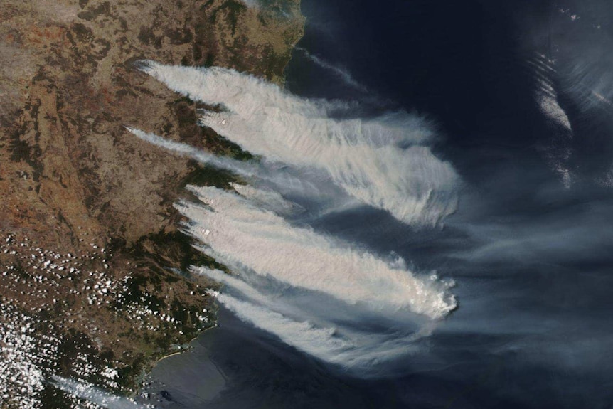 satellite image of large plumes of smoke blowing over the NSW coast