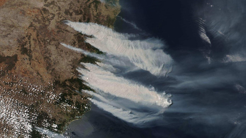 satellite image of large plumes of smoke blowing over the NSW coast