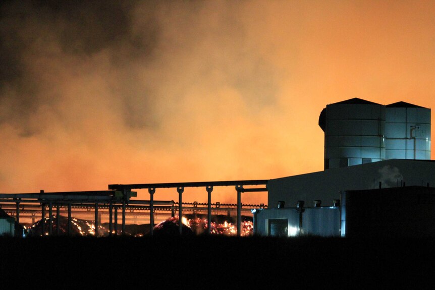 Fire at almond processing plant at Olam, Victoria