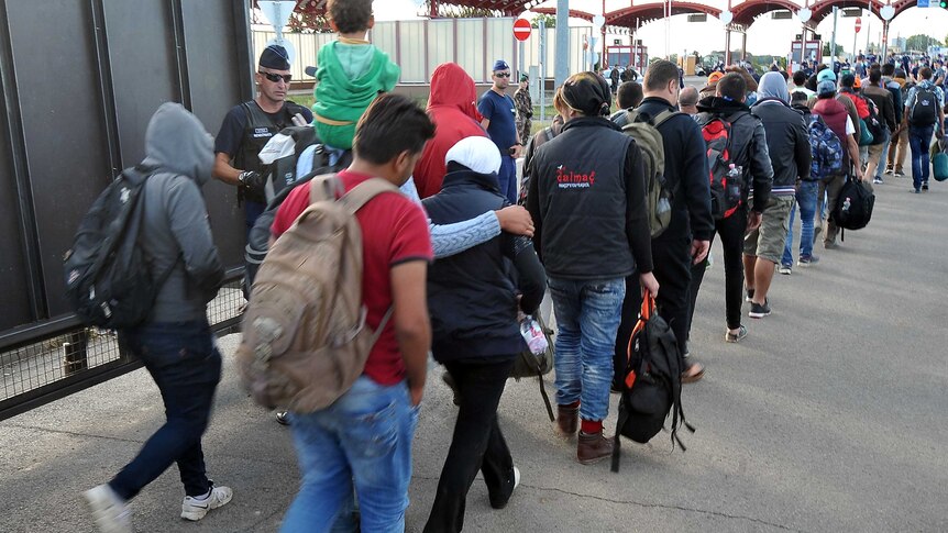 Asylum seekers from Middle-Eastern countries cross the Croatian-Hungarian border