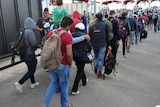 Asylum seekers from Middle-Eastern countries cross the Croatian-Hungarian border